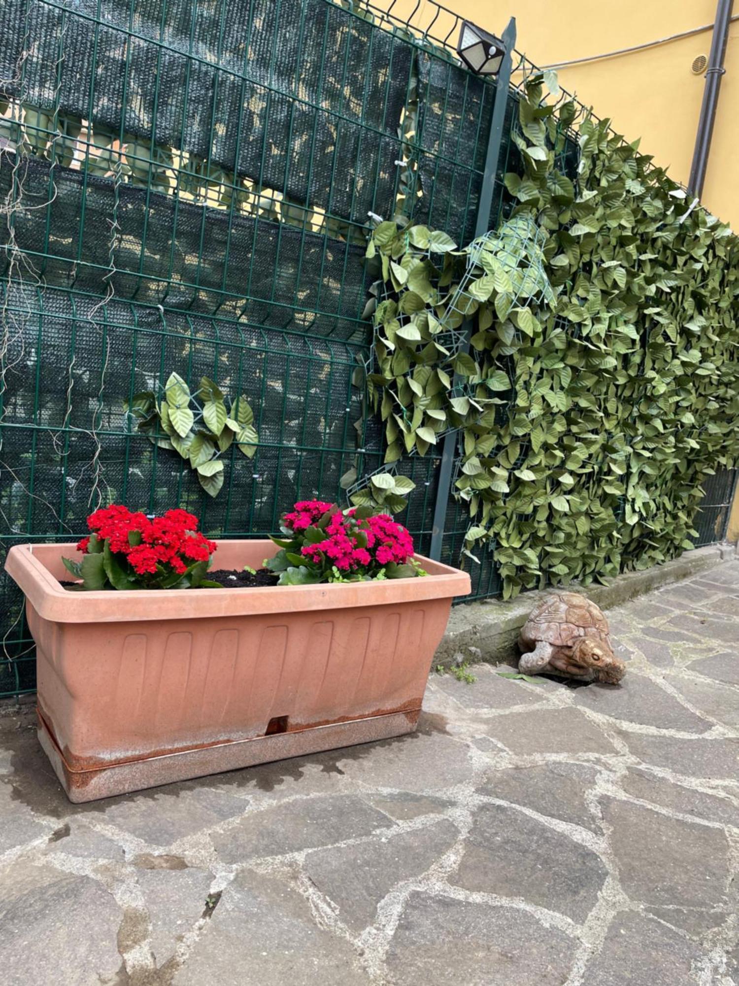 Appiolatino - Il Fenicottero Villa Rom Exteriör bild